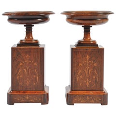 Pair of 19th Century Marquetry Tazza, in Rosewood, Walnut and Boxwood 