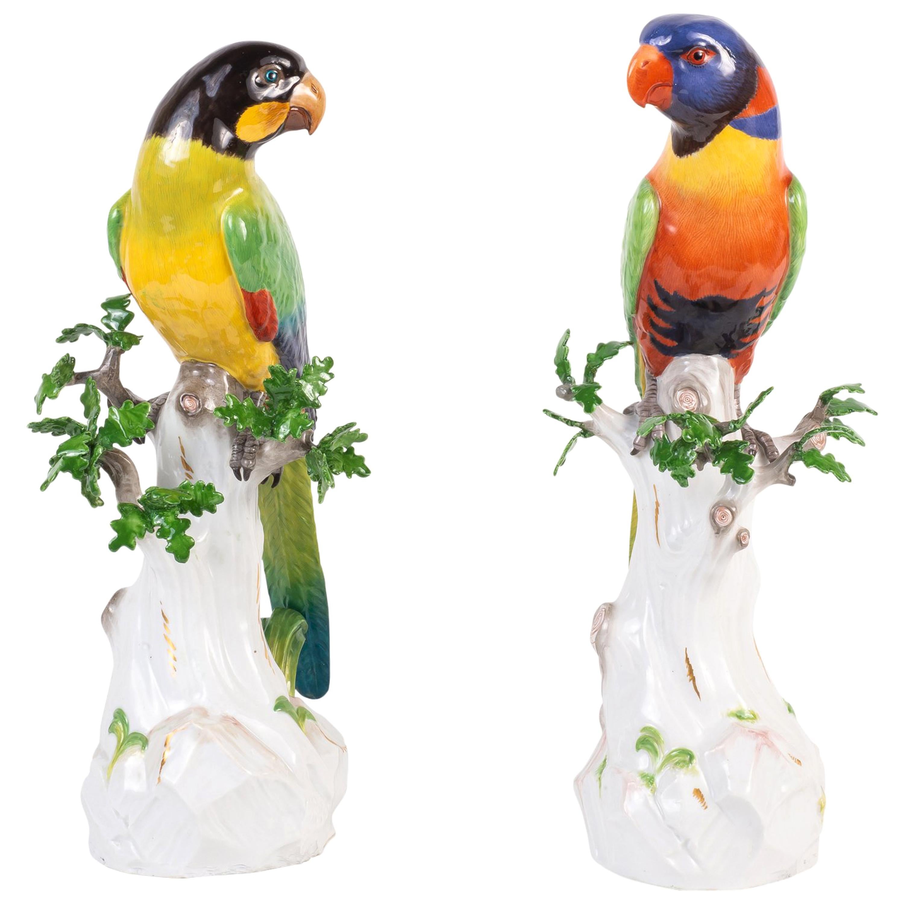 Pair of 19th Century Meissen Porcelain Parrots
