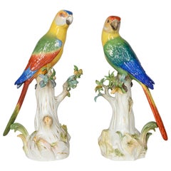 Pair of 19th Century Meissen Porcelain Parrots