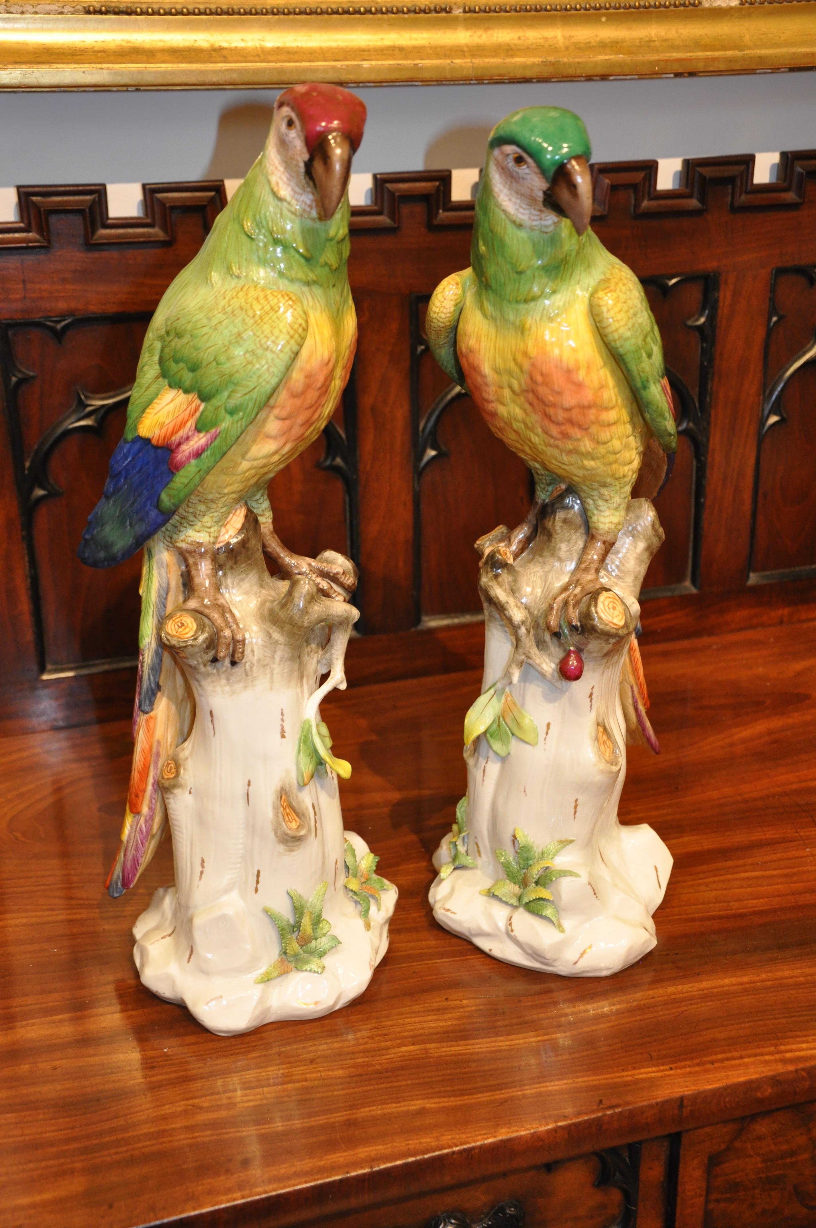 German Pair of 19th Century Meissen Style Porcelain Parrots