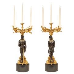 Antique Pair of 19th Century Neoclassical St. Patinated Bronze and Ormolu Candelabras