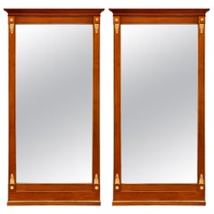 Coppia di specchi neoclassici del XIX secolo in Wood Wood, ottone e metallo stampato