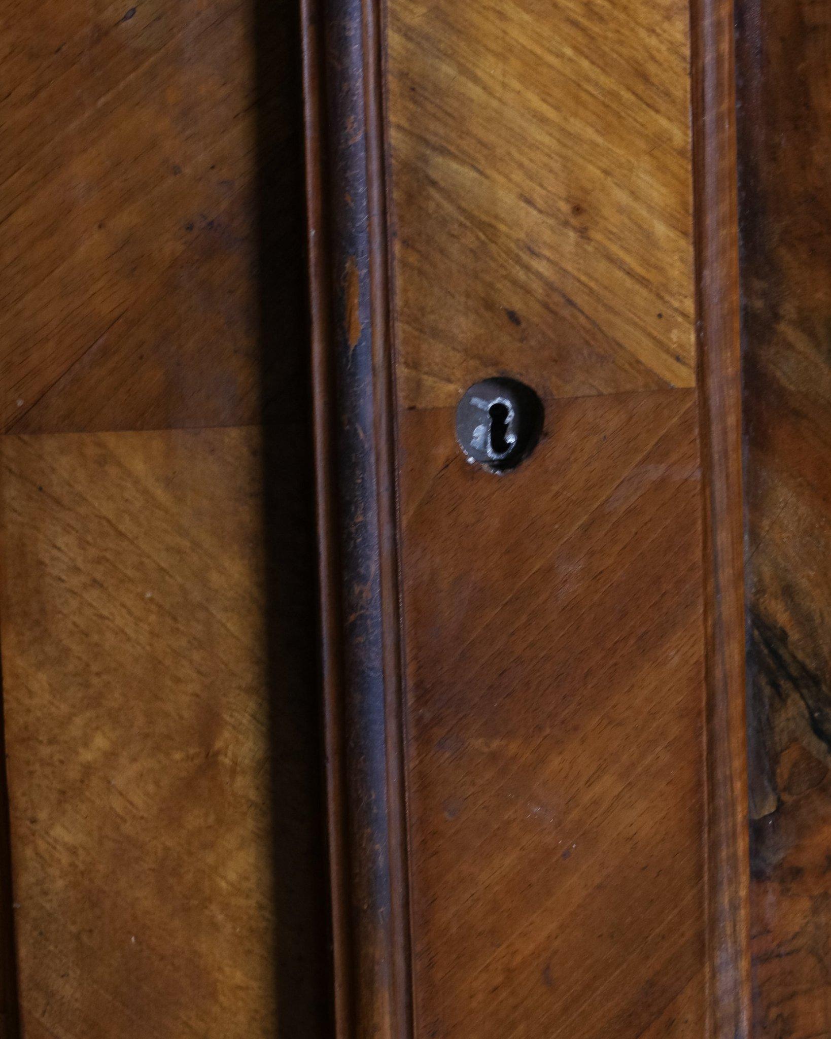 French Pair of 19th Century Olive Burlwood & Mahogany Armoires w/ Fruit Carvings For Sale