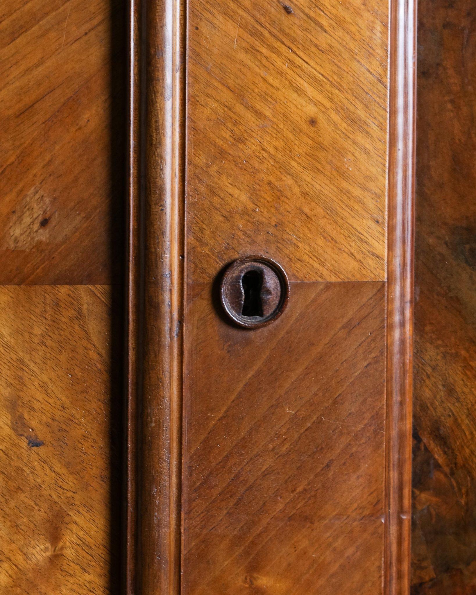 Pair of 19th Century Olive Burlwood & Mahogany Armoires w/ Fruit Carvings For Sale 2