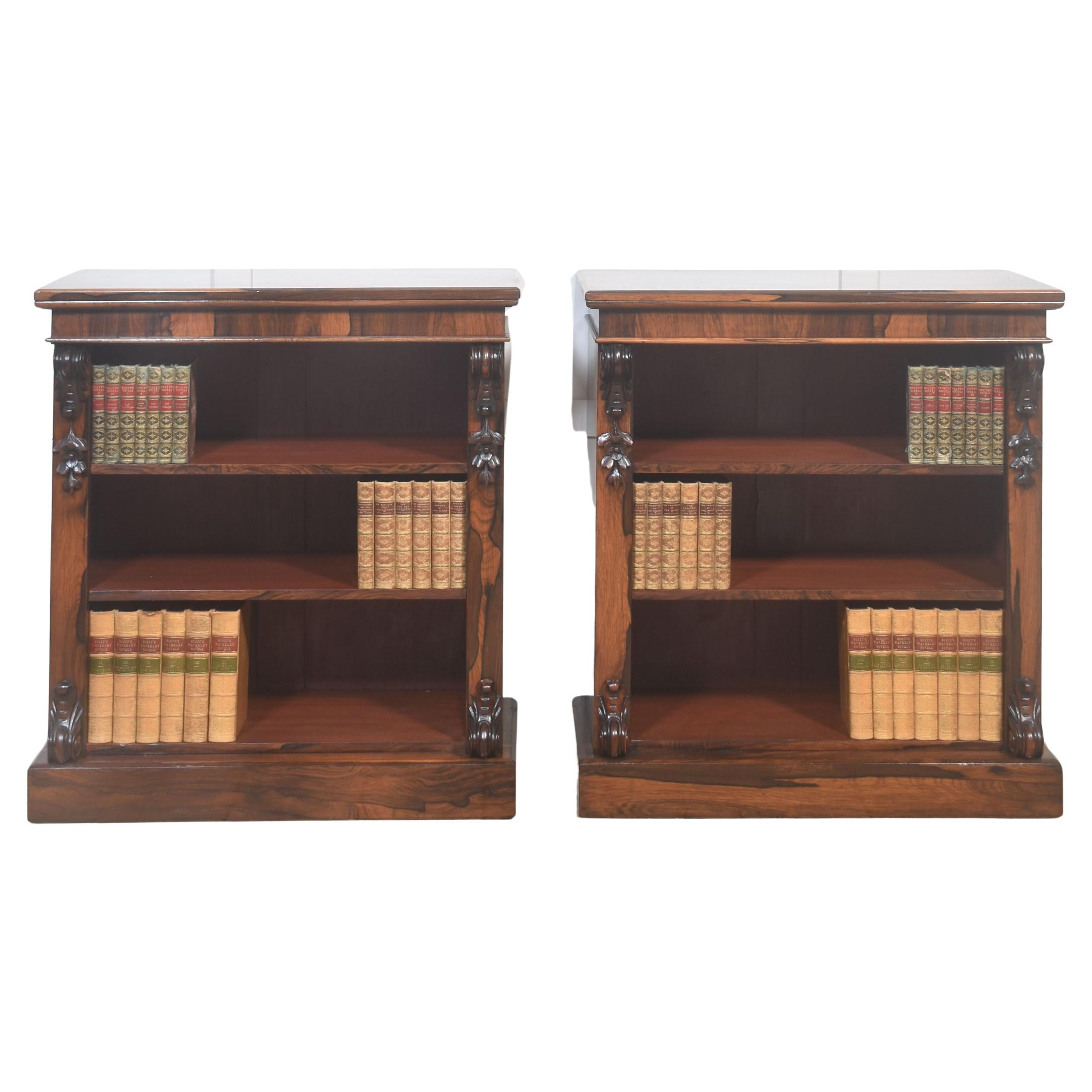 Paire de bibliothèques ouvertes du 19e siècle