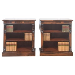 Paire de bibliothèques ouvertes du 19e siècle