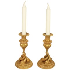 Pair of 19th Century Ormolu Candlesticks with Entwined Dolphins