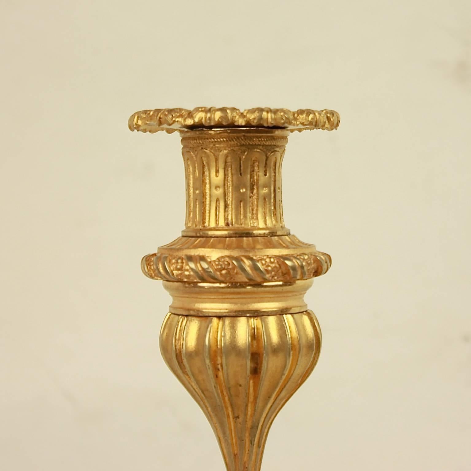 Pair of 19th Century Ormolu Candlesticks with Entwined Dolphins 1