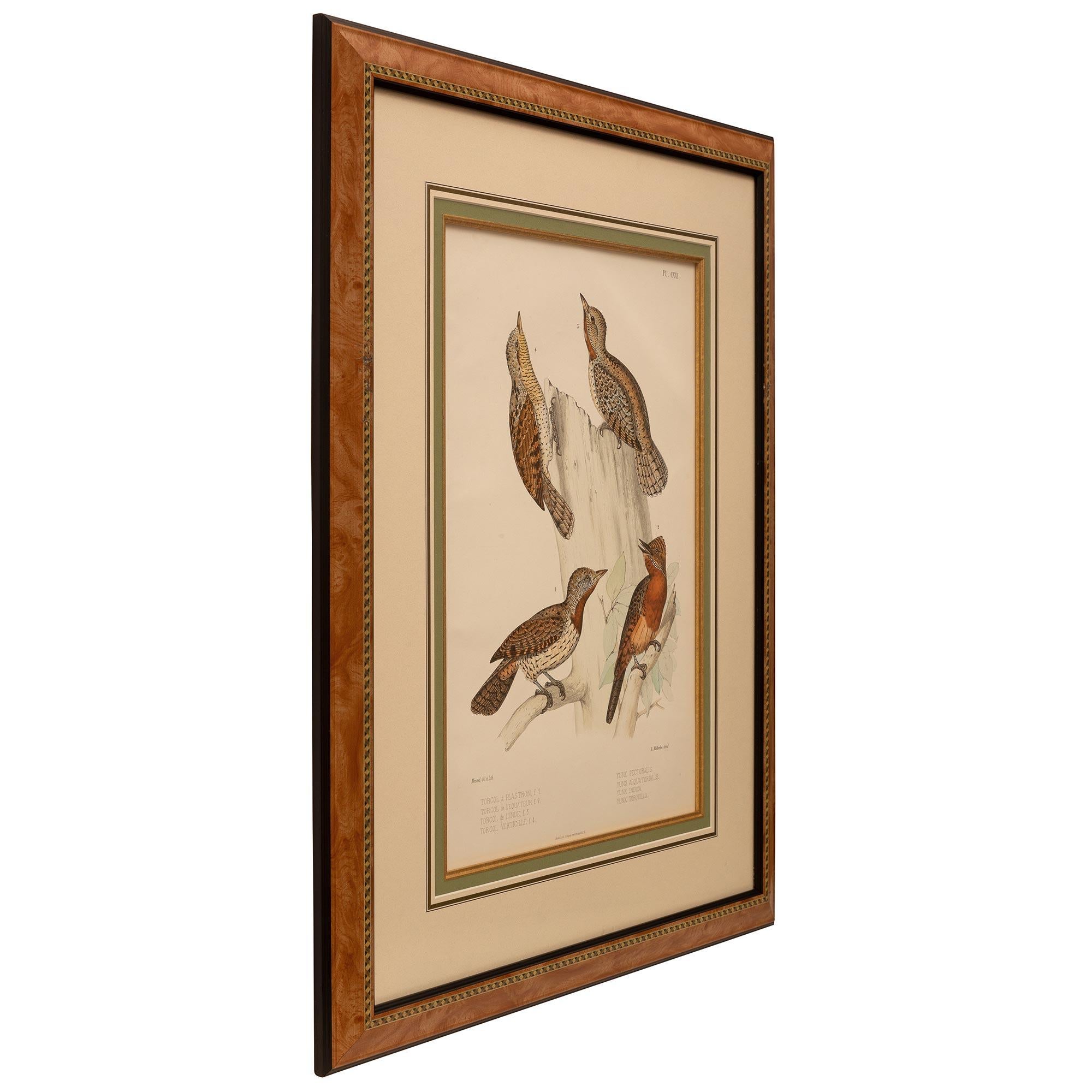Unknown Pair of 19th Century Ornithological Color Prints For Sale