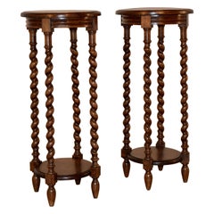 Pair of 19th Century Plant Stands