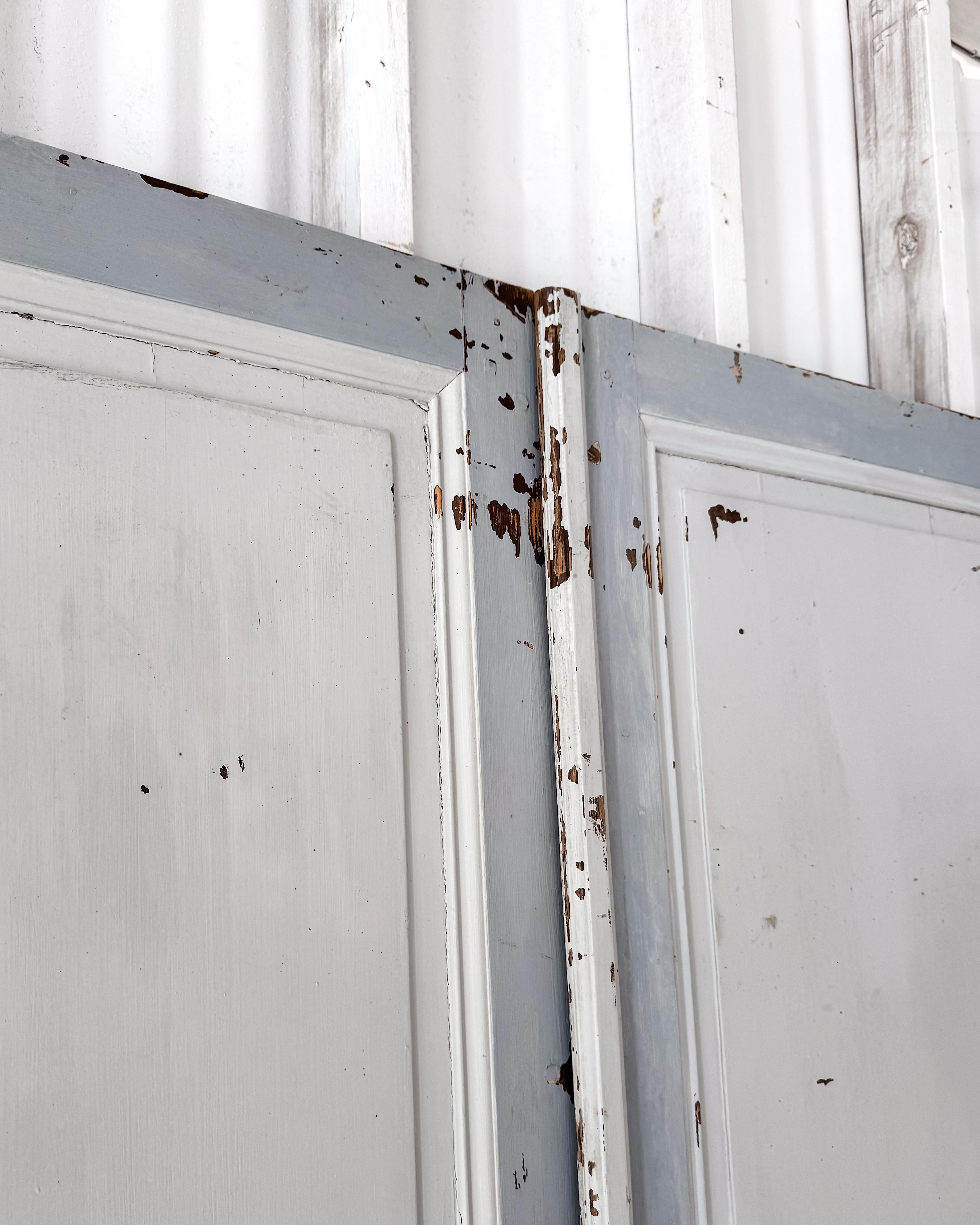 Pair of 19th Century Reclaimed Decorative French Doors For Sale 13