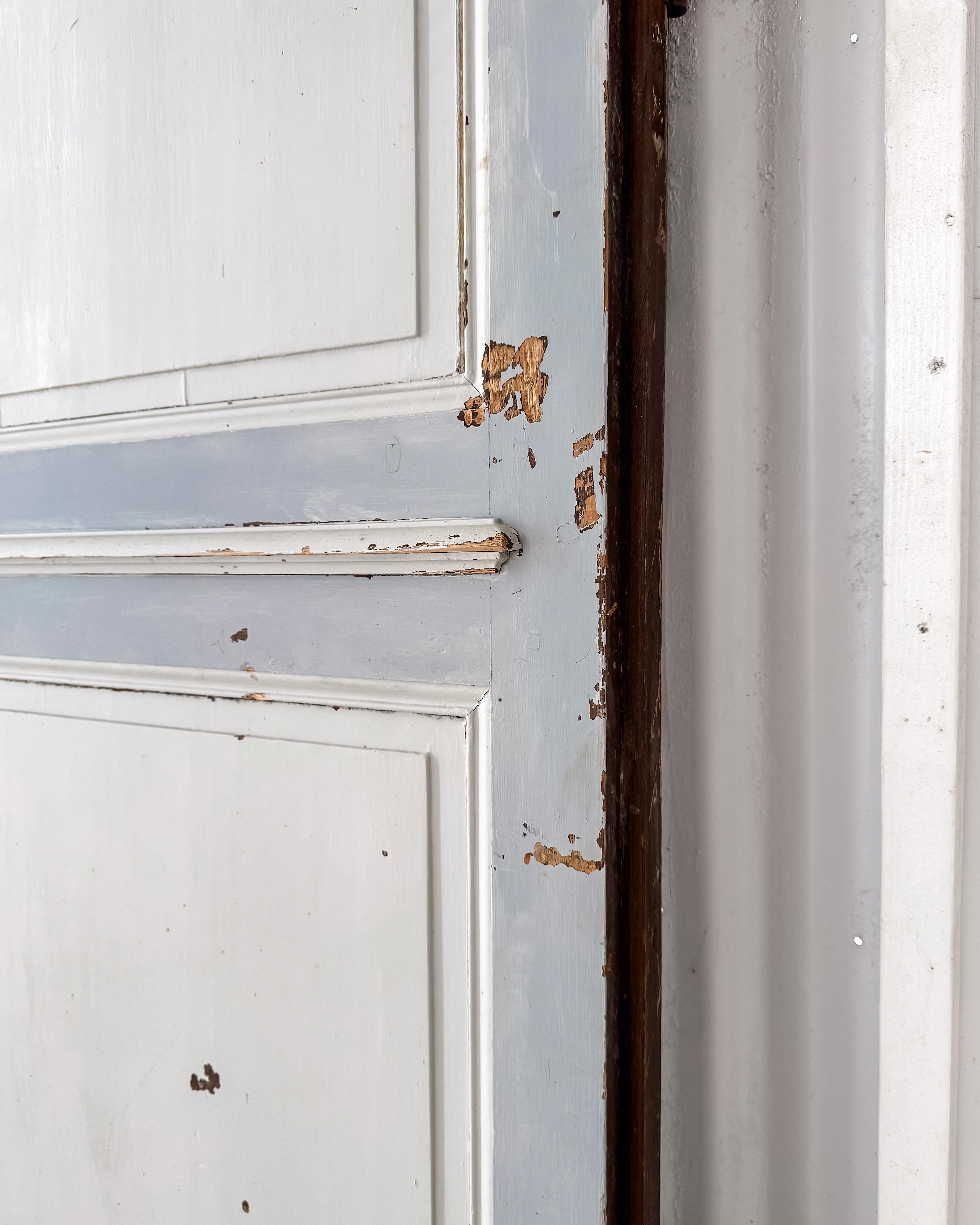 Pair of 19th Century Reclaimed Decorative French Doors For Sale 16