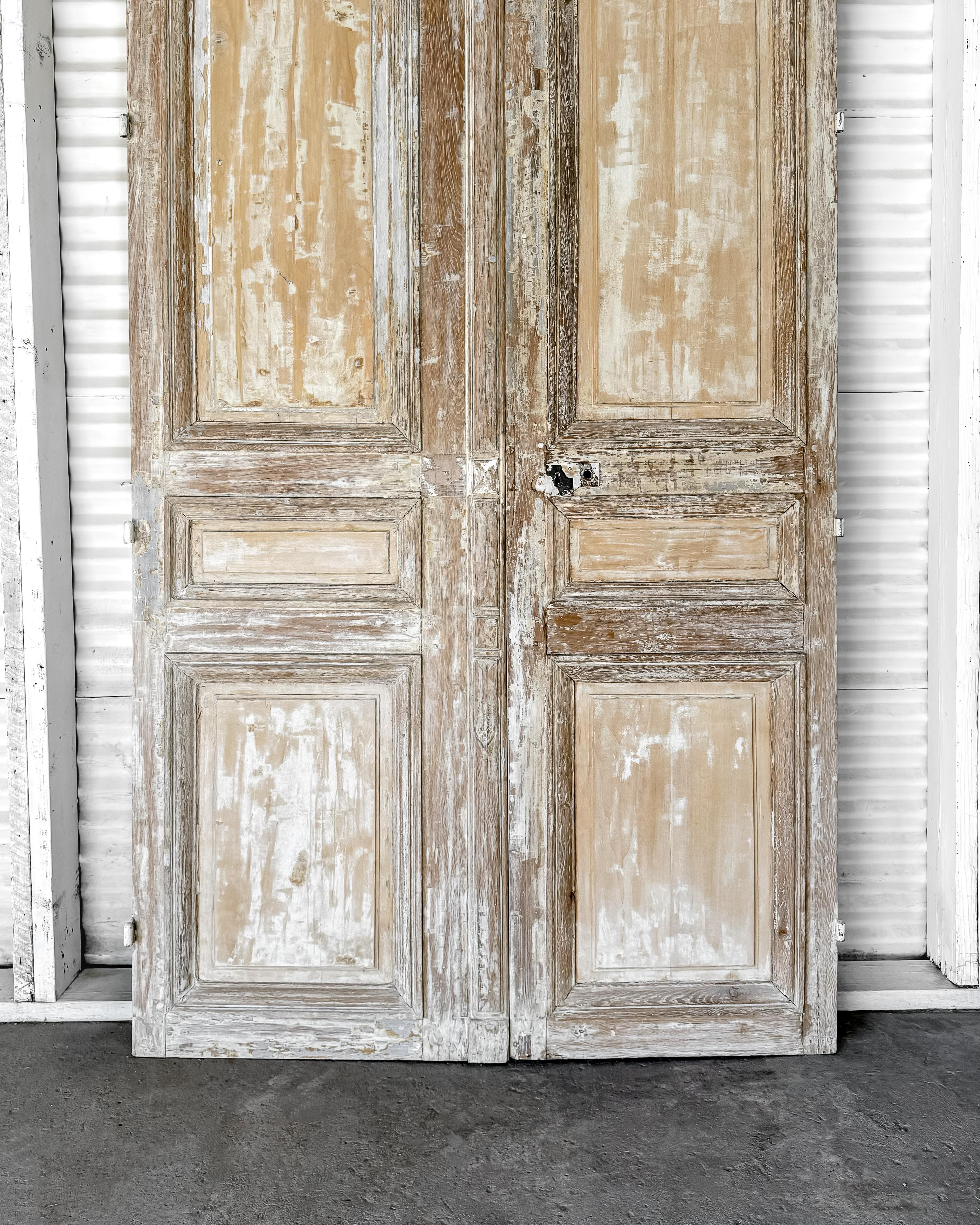 Coppia di porte francesi del XIX secolo con pannello a secco di recupero in vendita 12