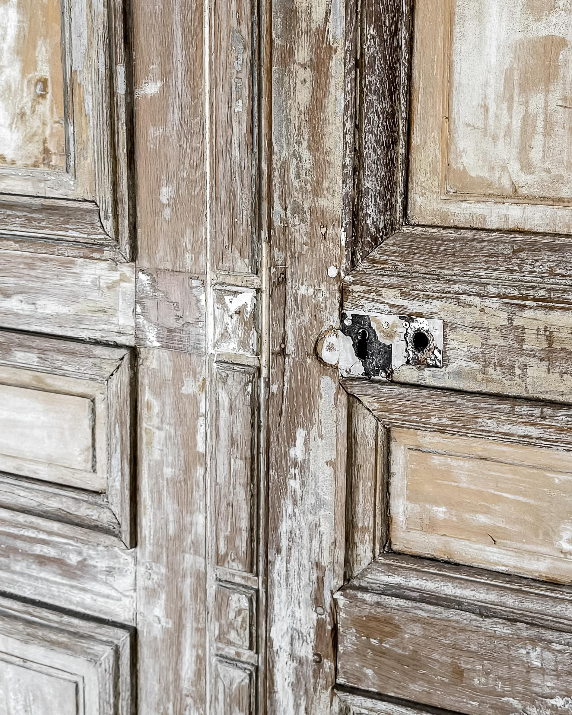 Coppia di porte francesi del XIX secolo con pannello a secco di recupero in vendita 15