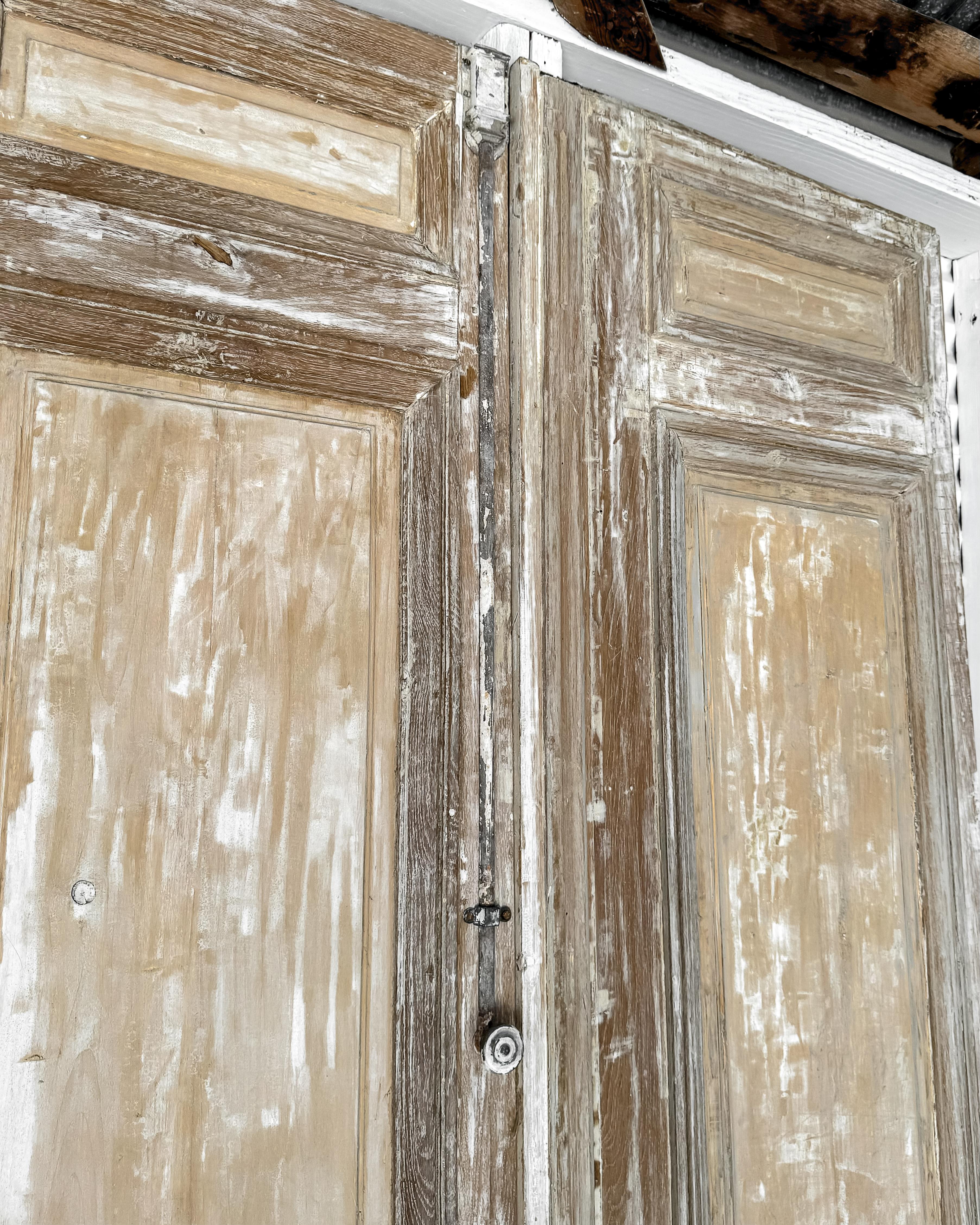 Legno Coppia di porte francesi del XIX secolo con pannello a secco di recupero in vendita