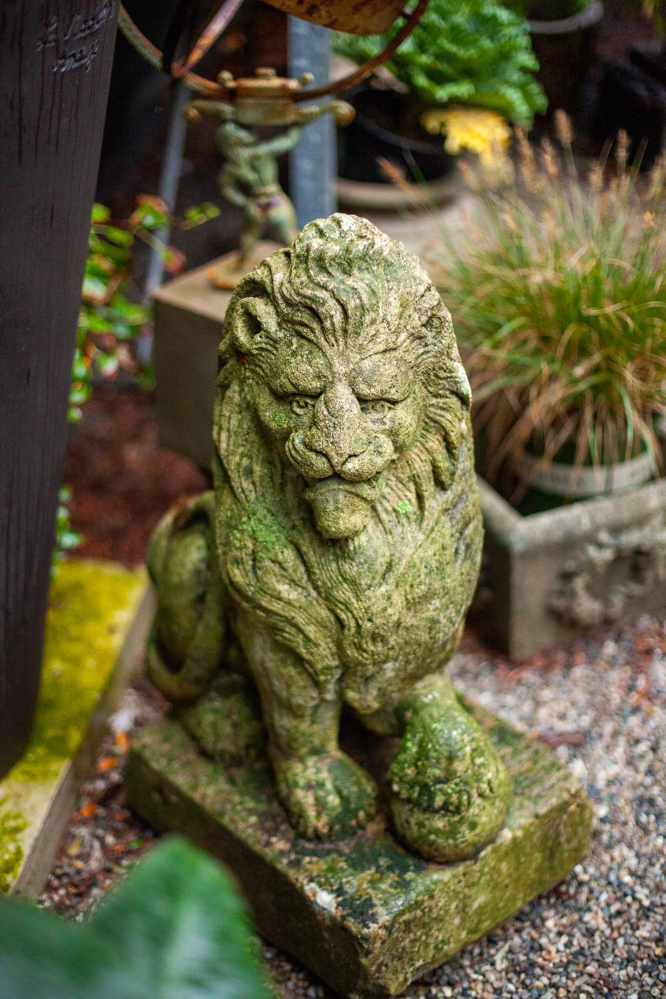 Fleurdetroit presents for your consideration, this pair of antique, carved lions.

Fresh to the market from an East Coast Estate, these lions are in search of their next home for the next century. Beautifully carved with an excellent patina only