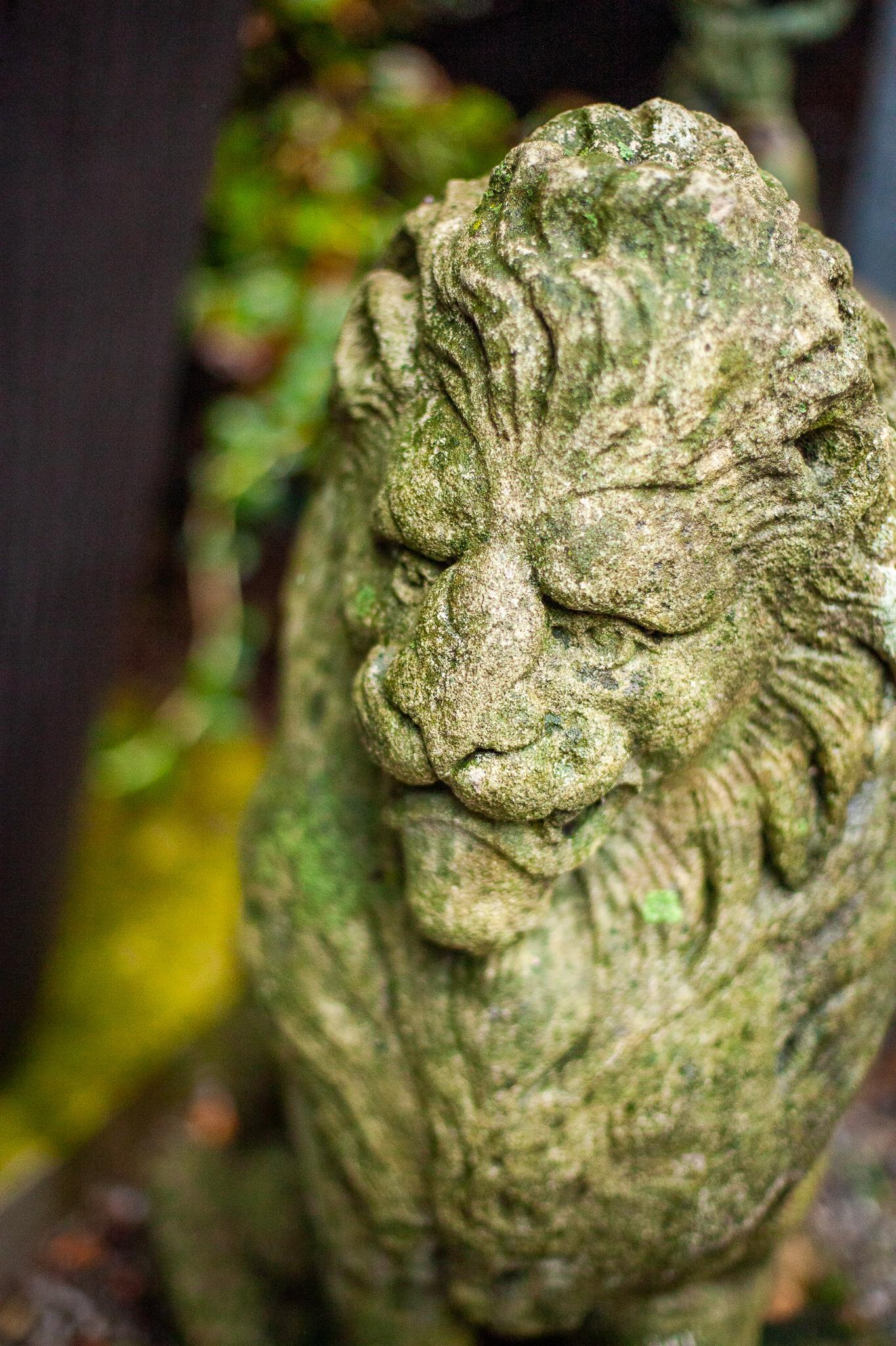 Other Pair of 19th century Regal Carved English Stone Lion For Sale