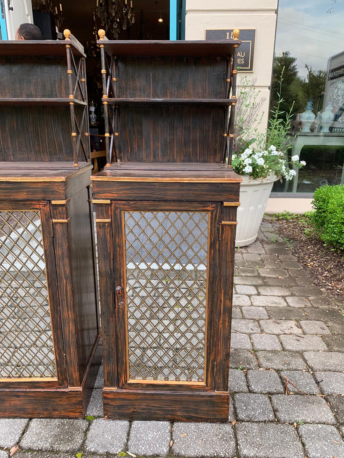 Pair of 19th Century Regency Faux Bois Chiffoniers, Mirrored Door, circa 1825 For Sale 7