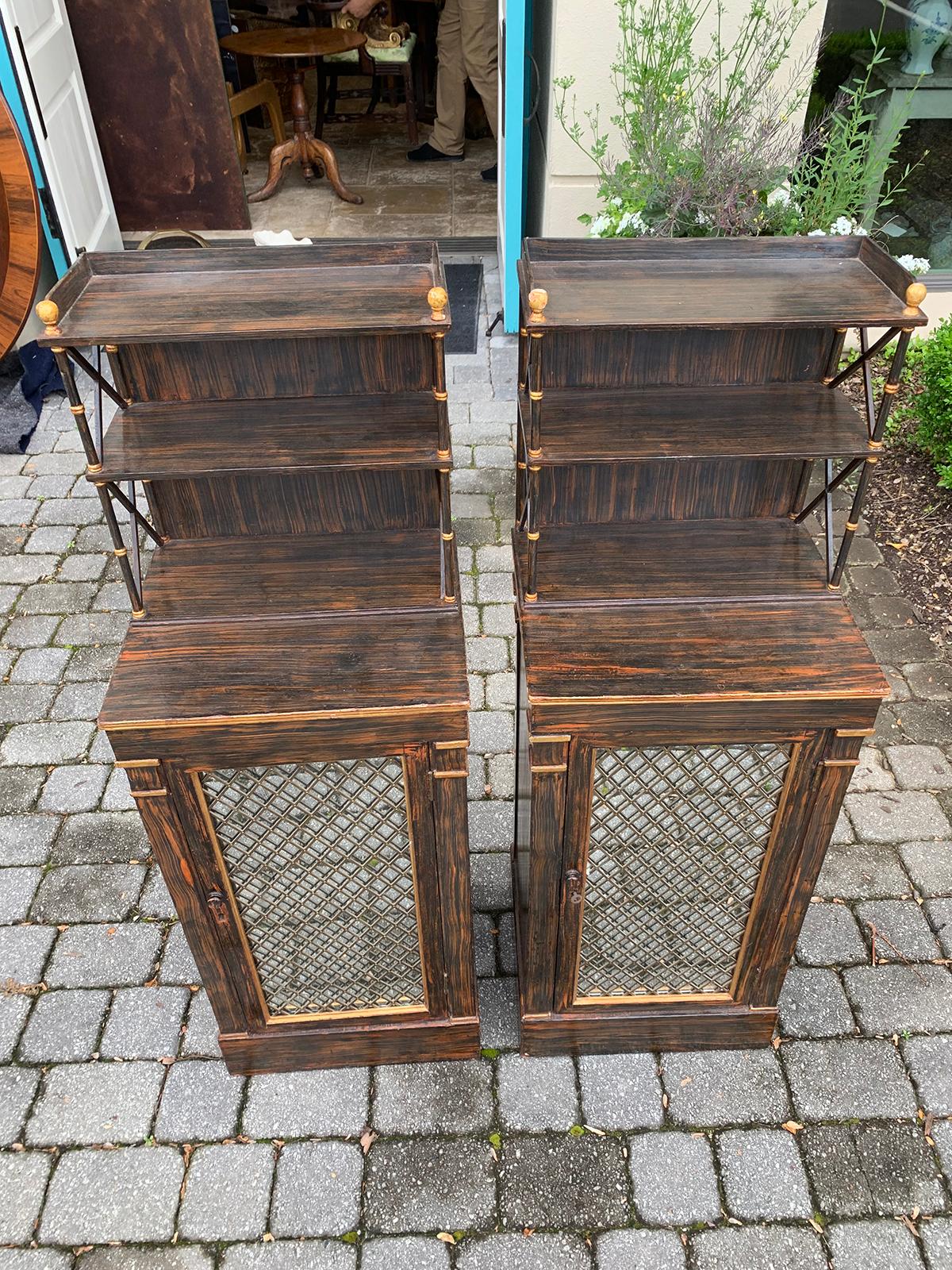 Pair of 19th Century Regency Faux Bois Chiffoniers, Mirrored Door, circa 1825 For Sale 13
