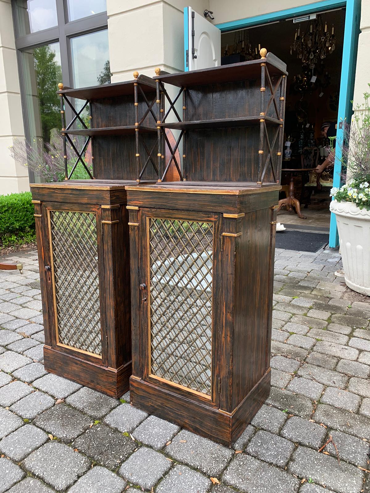 English Pair of 19th Century Regency Faux Bois Chiffoniers, Mirrored Door, circa 1825 For Sale