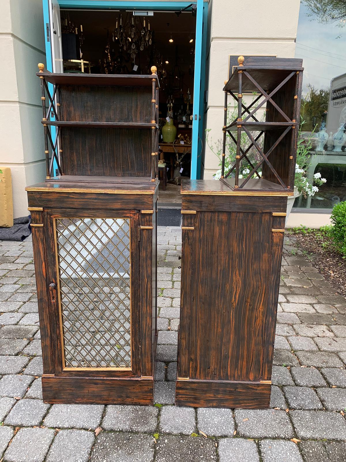 Pair of 19th Century Regency Faux Bois Chiffoniers, Mirrored Door, circa 1825 For Sale 2