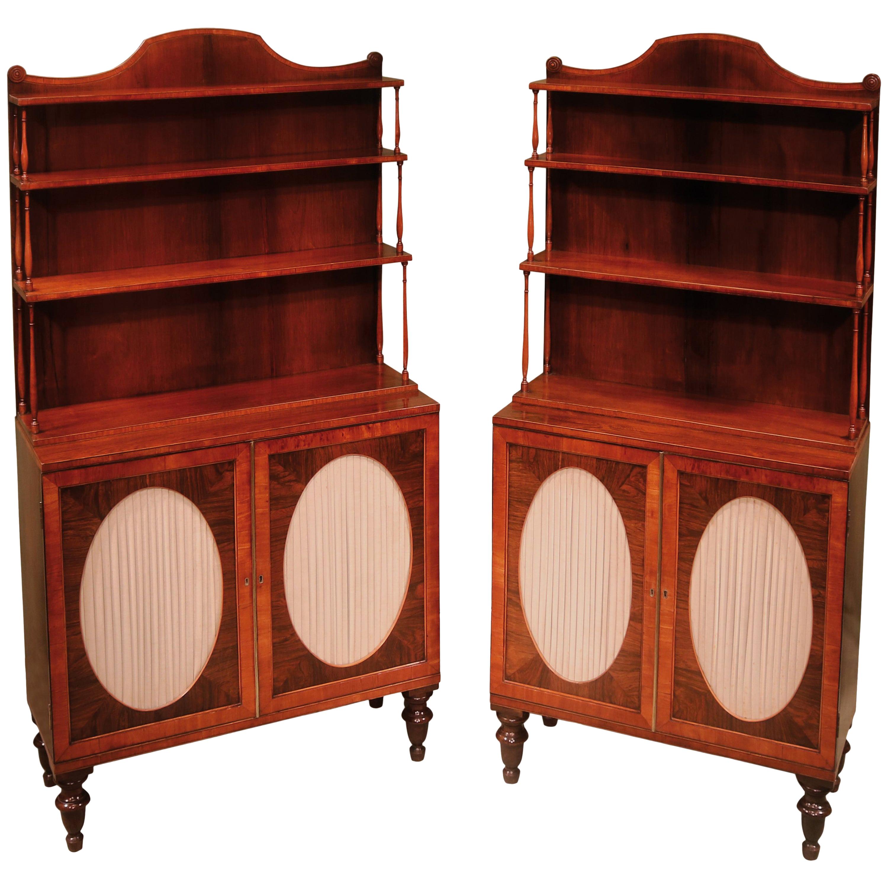 Pair of 19th Century Regency Period Rosewood Two-Door Cabinets