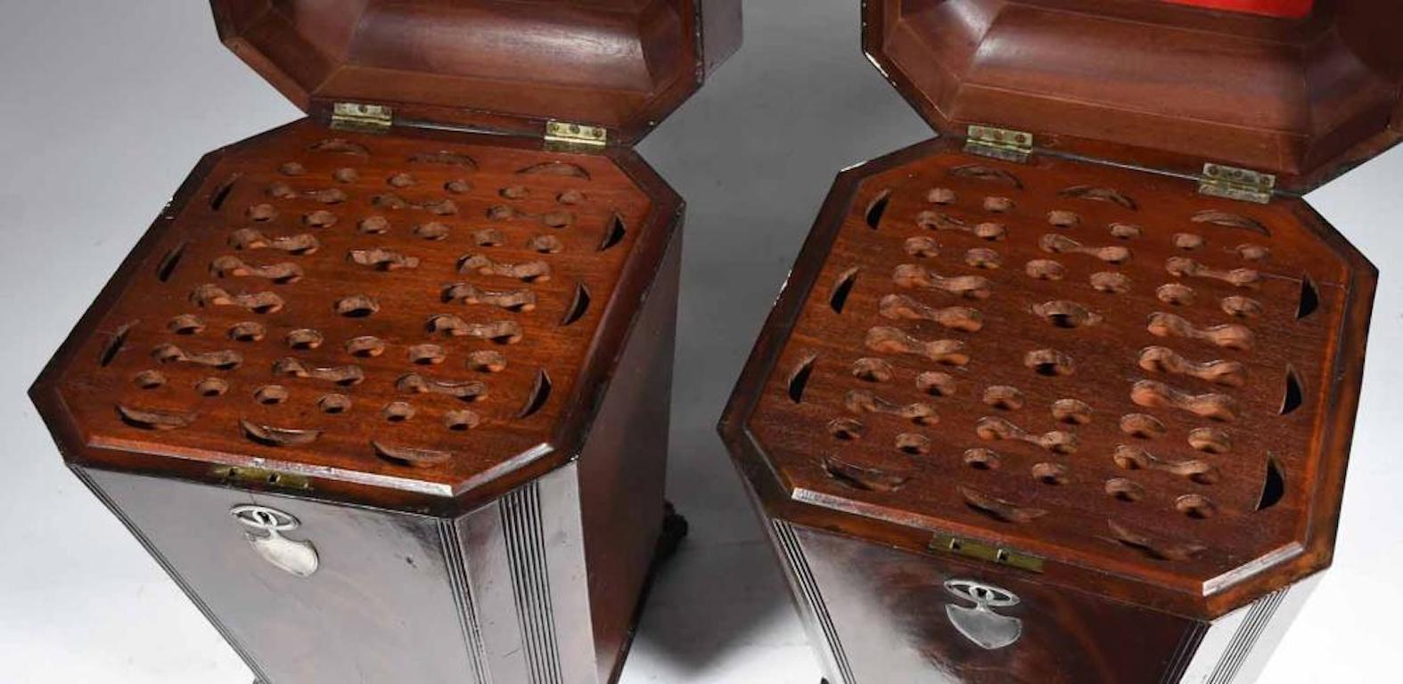 English Pair of 19th Century Regency Sarcophagus Shaped Cutlery Urn Boxes