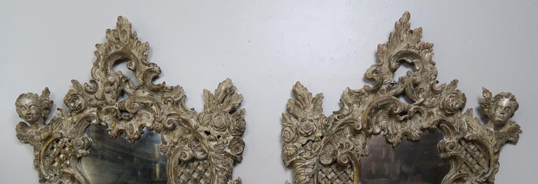 Pair of 19th Century Rococo Style Italian Carved Mirrors with Cherubs ...
