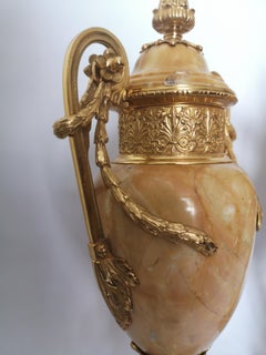 Pair of 19th Century Siena Marble and Gilt Bronze Cassolettes