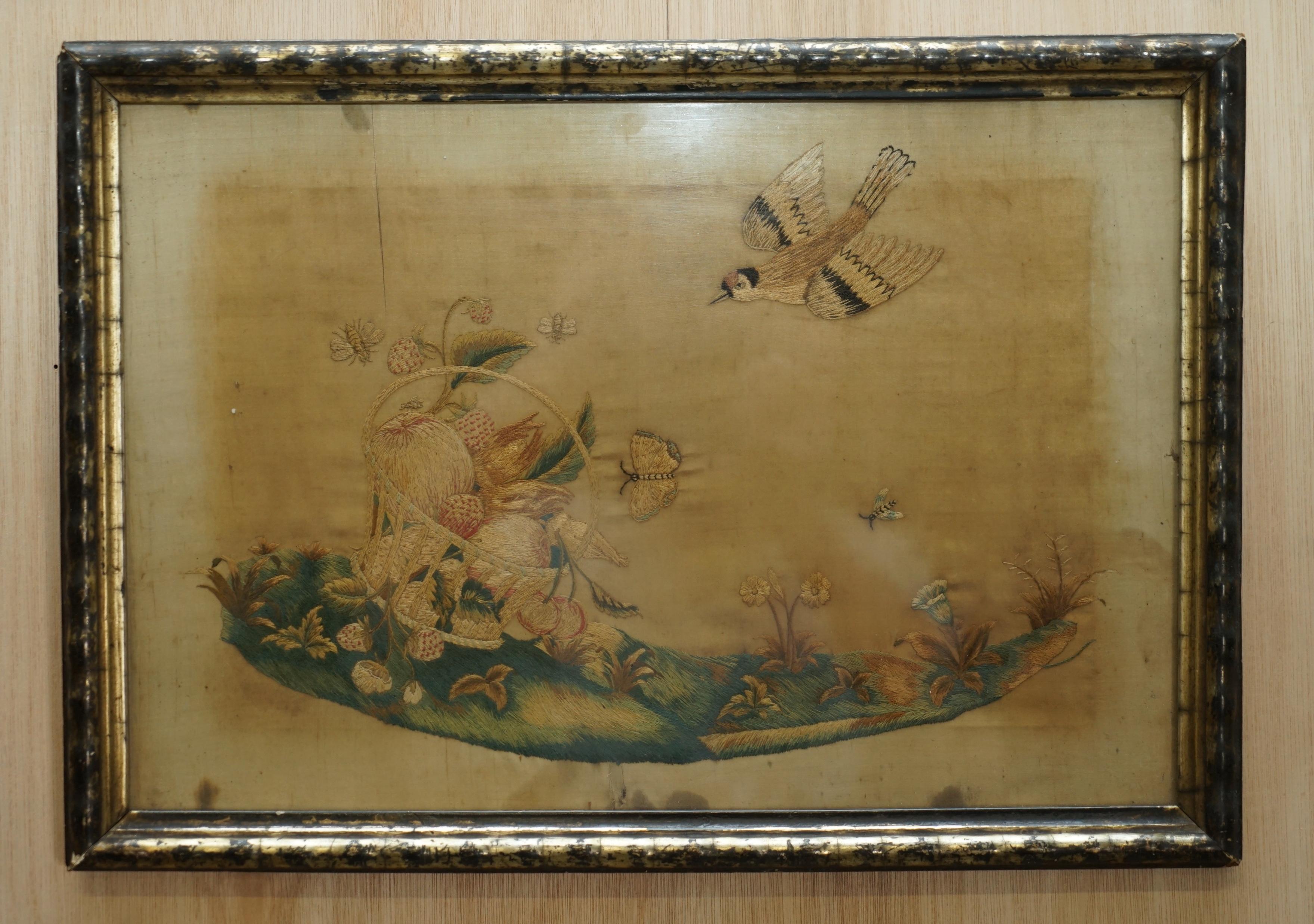 Wir freuen uns sehr, dieses atemberaubende originale Paar von um 1850 gestickten Seidenbildern mit Vögeln und Früchten zum Verkauf anbieten zu können 

Ein sehr gut aussehendes und dekoratives Paar, sie sind gut gealtert und sehen genauso aus wie