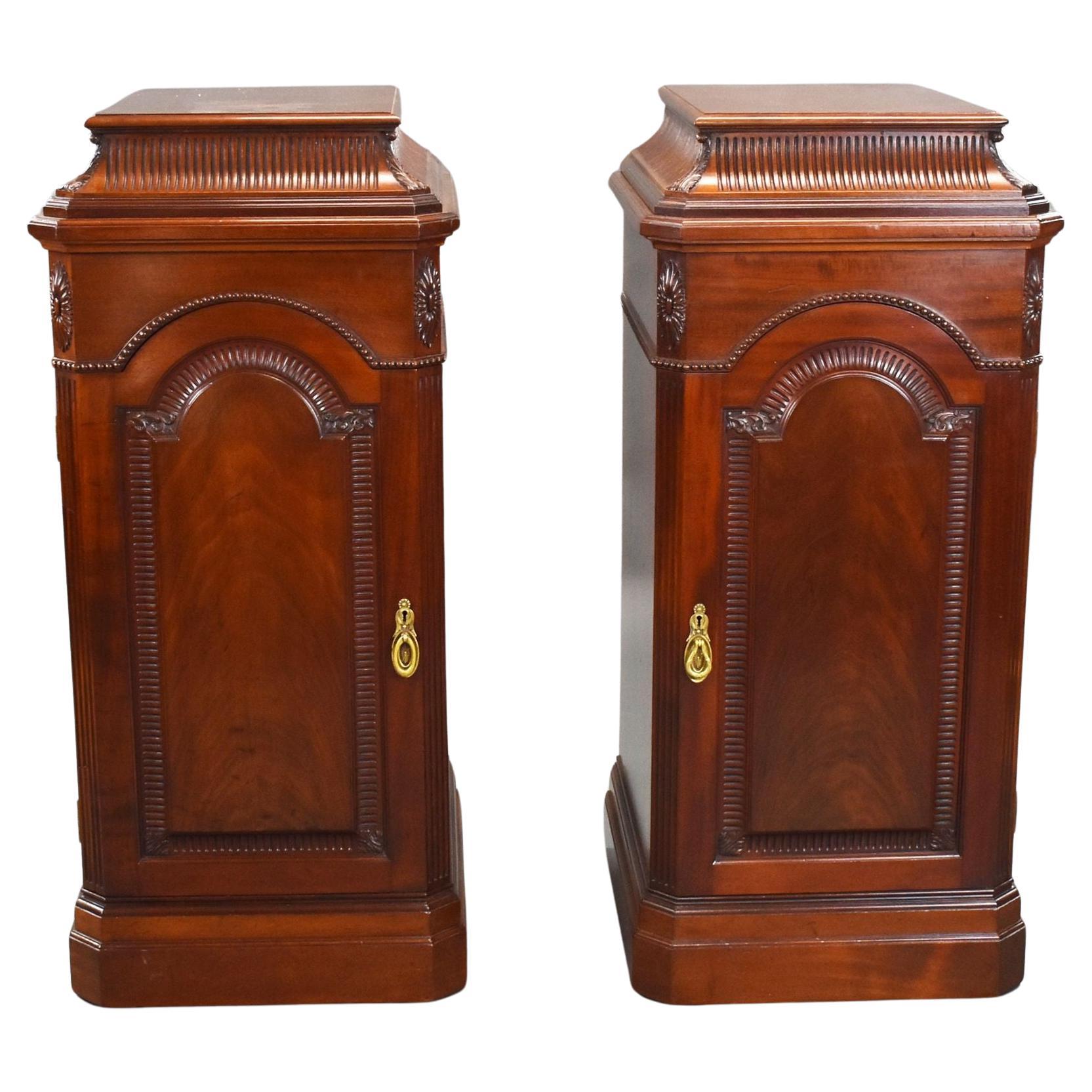 Pair of 19th Century Solid Mahogany Pedestals For Sale