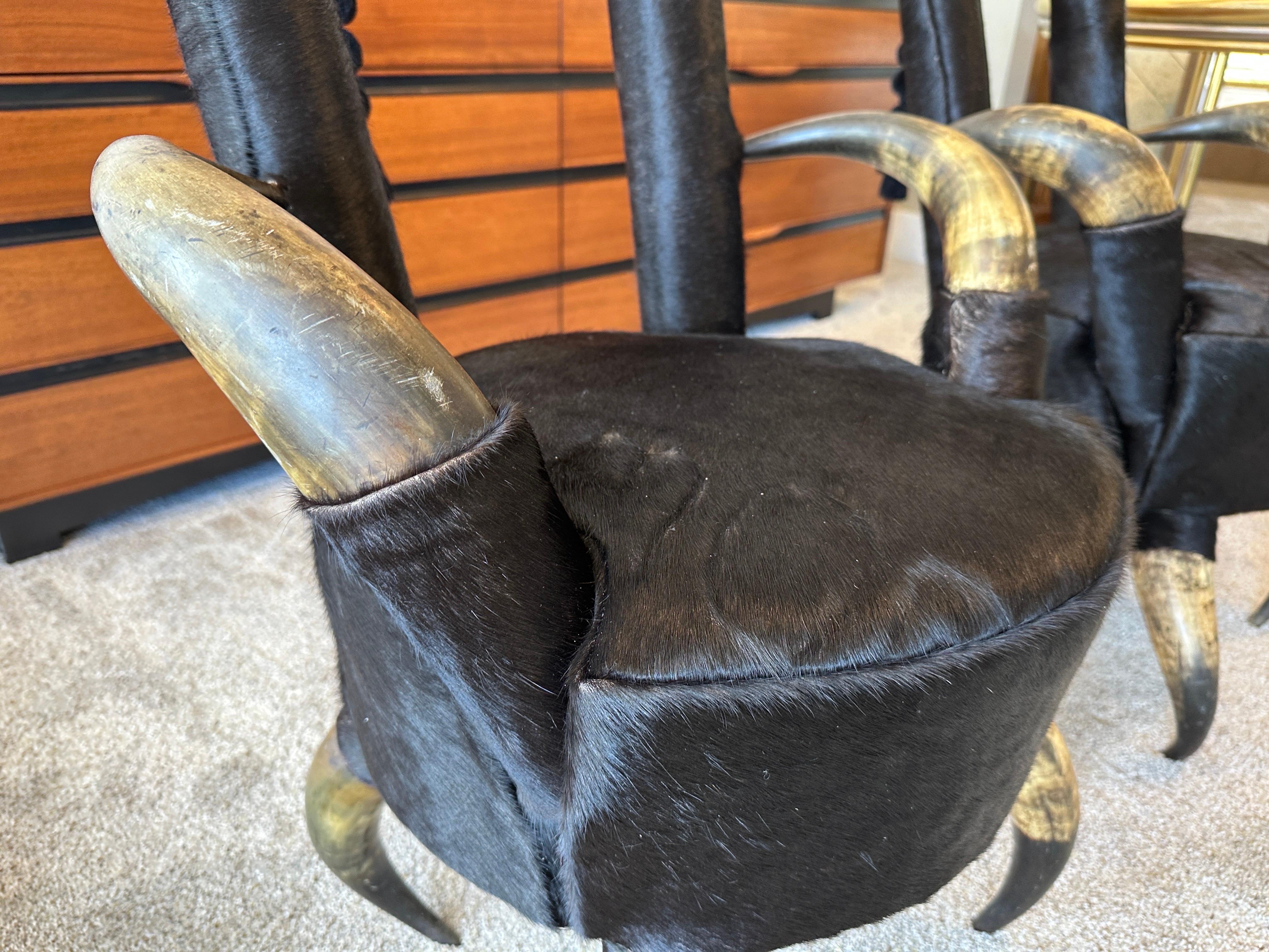 Pair of 19th Century Steer Horn Side Chairs For Sale 2