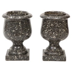 Antique Pair of 19th Century Stone Urns