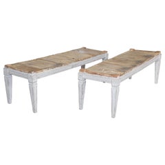 Pair of 19th Century Swedish Gustavian Benches