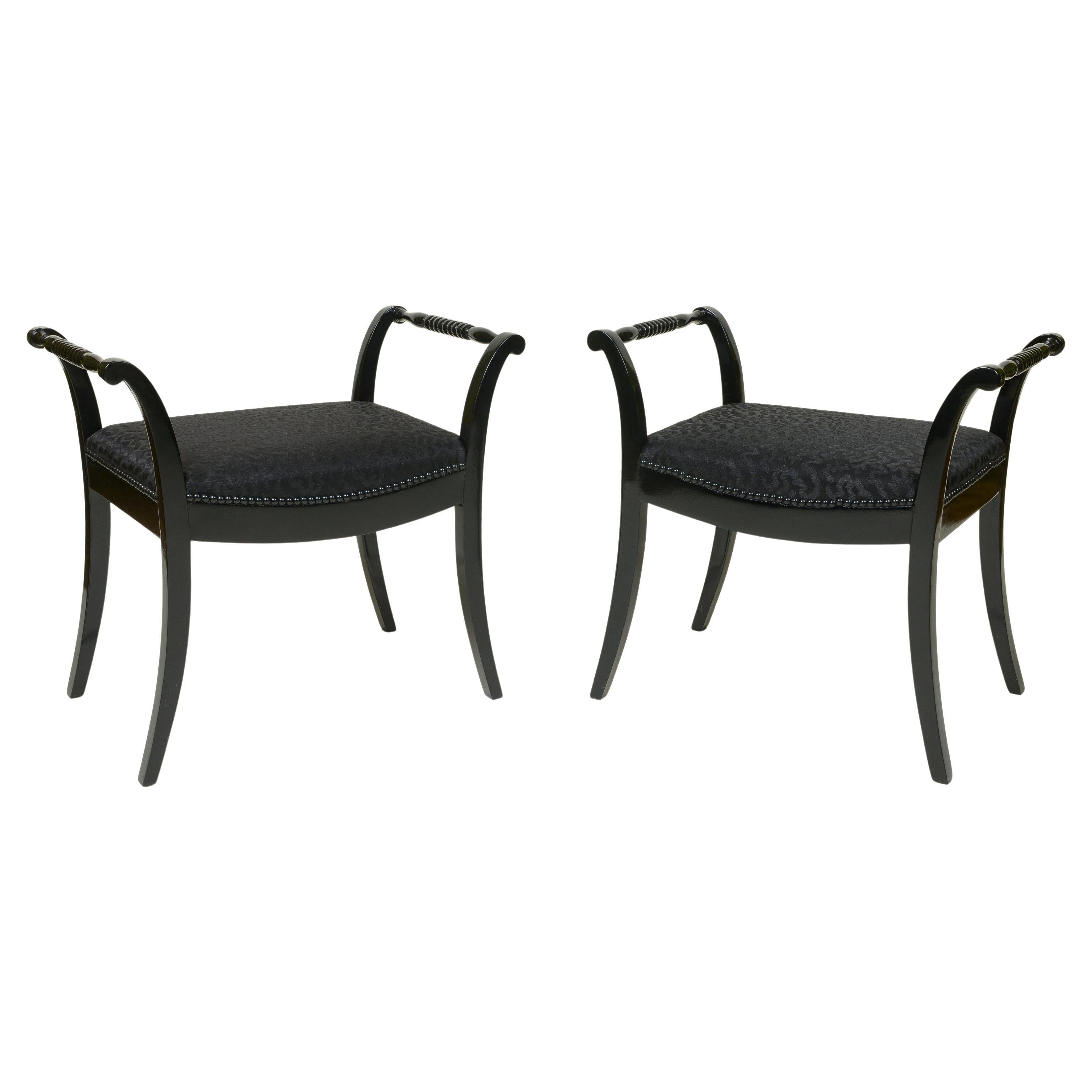 Pair of 19th Century Swedish Neoclassical Ebonized Birch Benches