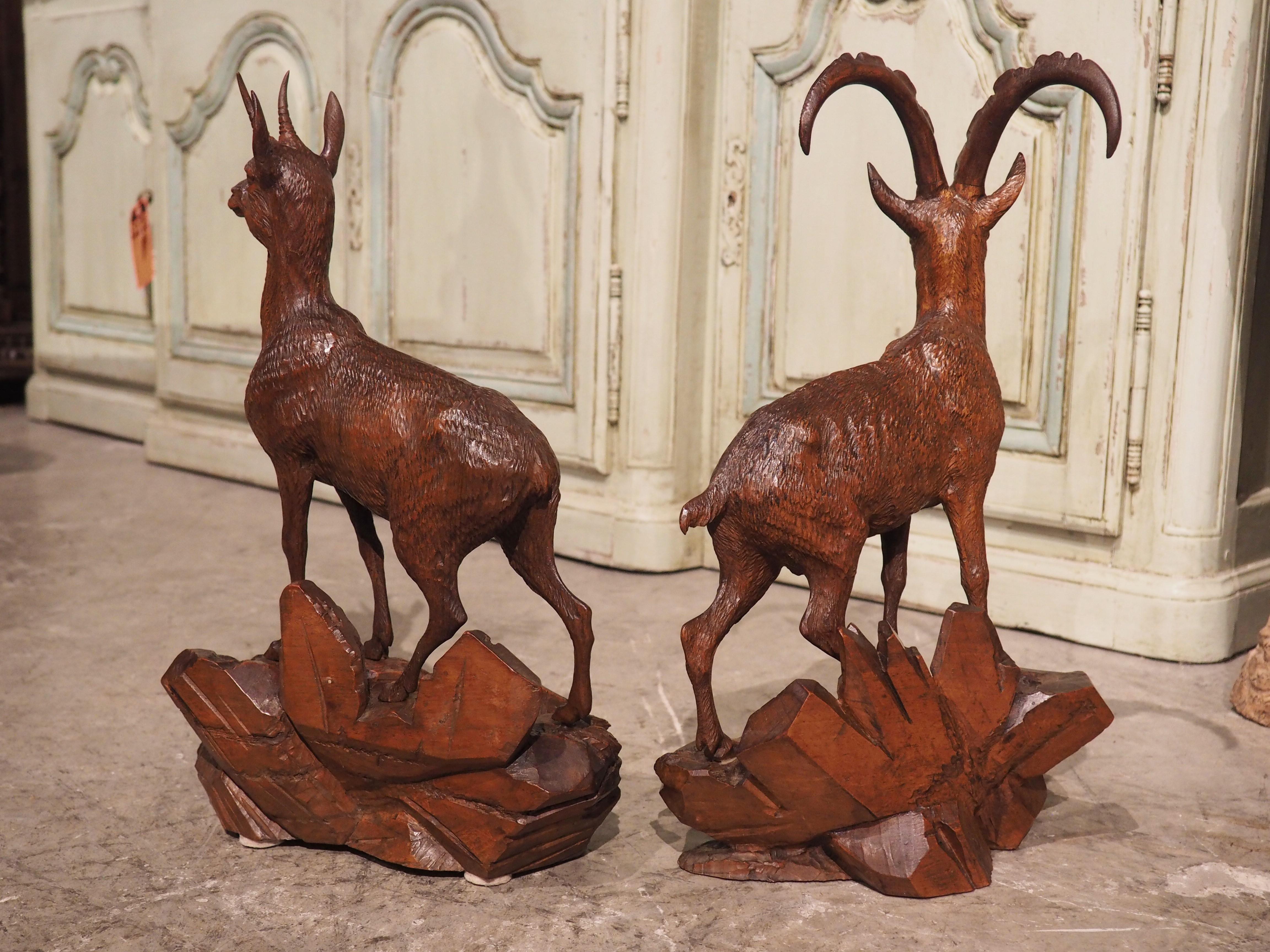 Pair of 19th Century Swiss Black Forest Ibexes in Carved Lindenwood 7