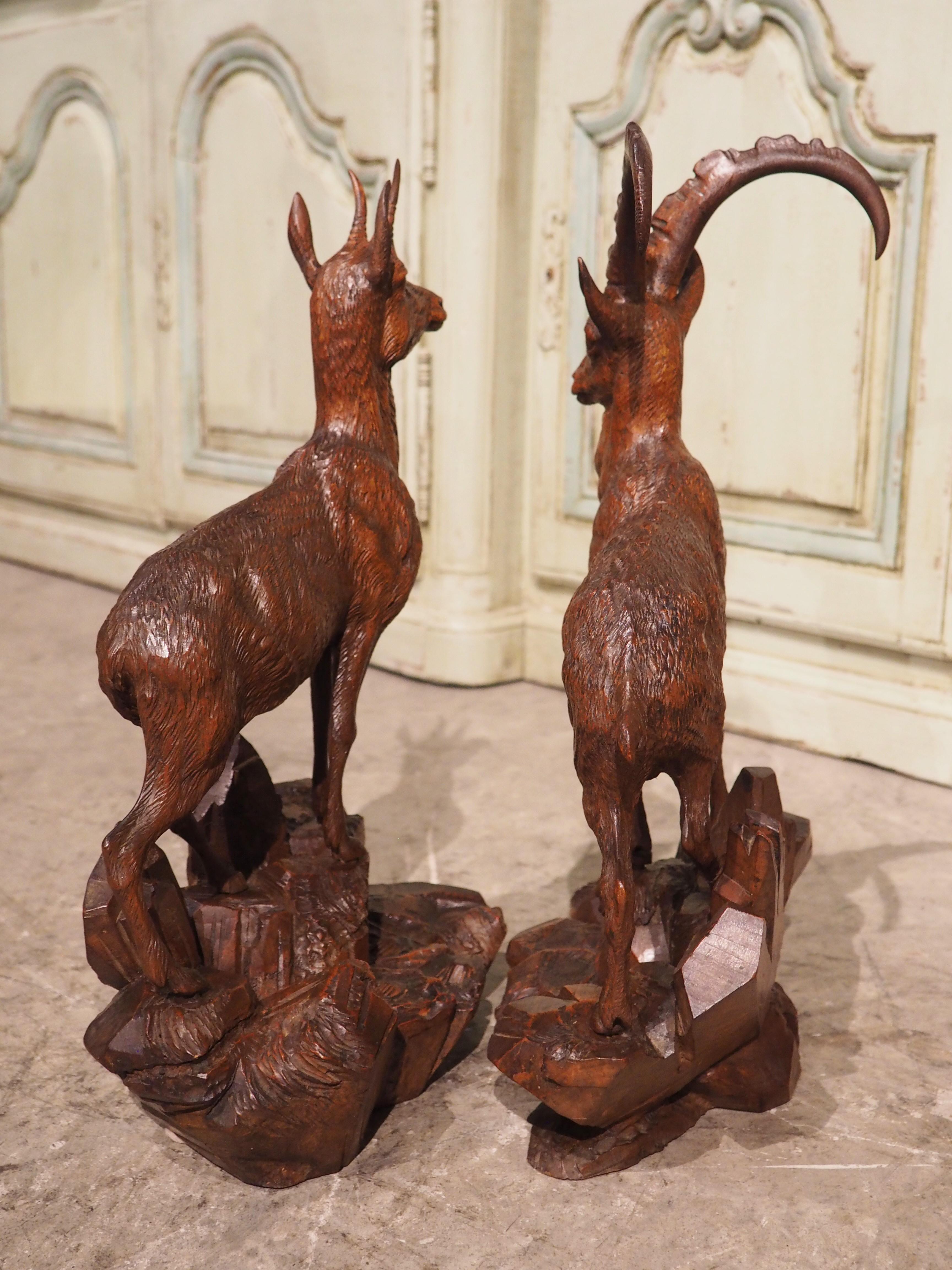 Pair of 19th Century Swiss Black Forest Ibexes in Carved Lindenwood 13