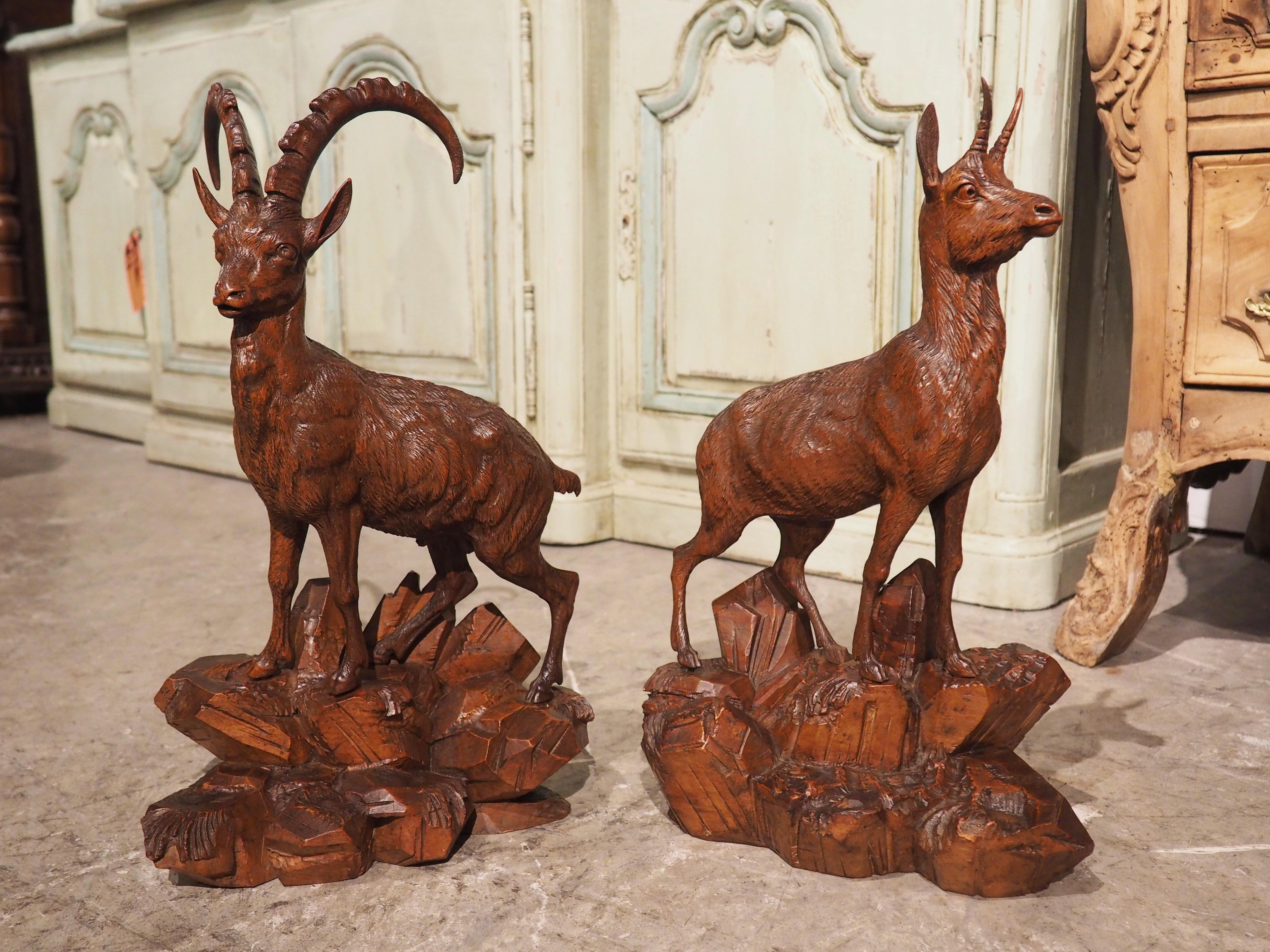 Pair of 19th Century Swiss Black Forest Ibexes in Carved Lindenwood 15