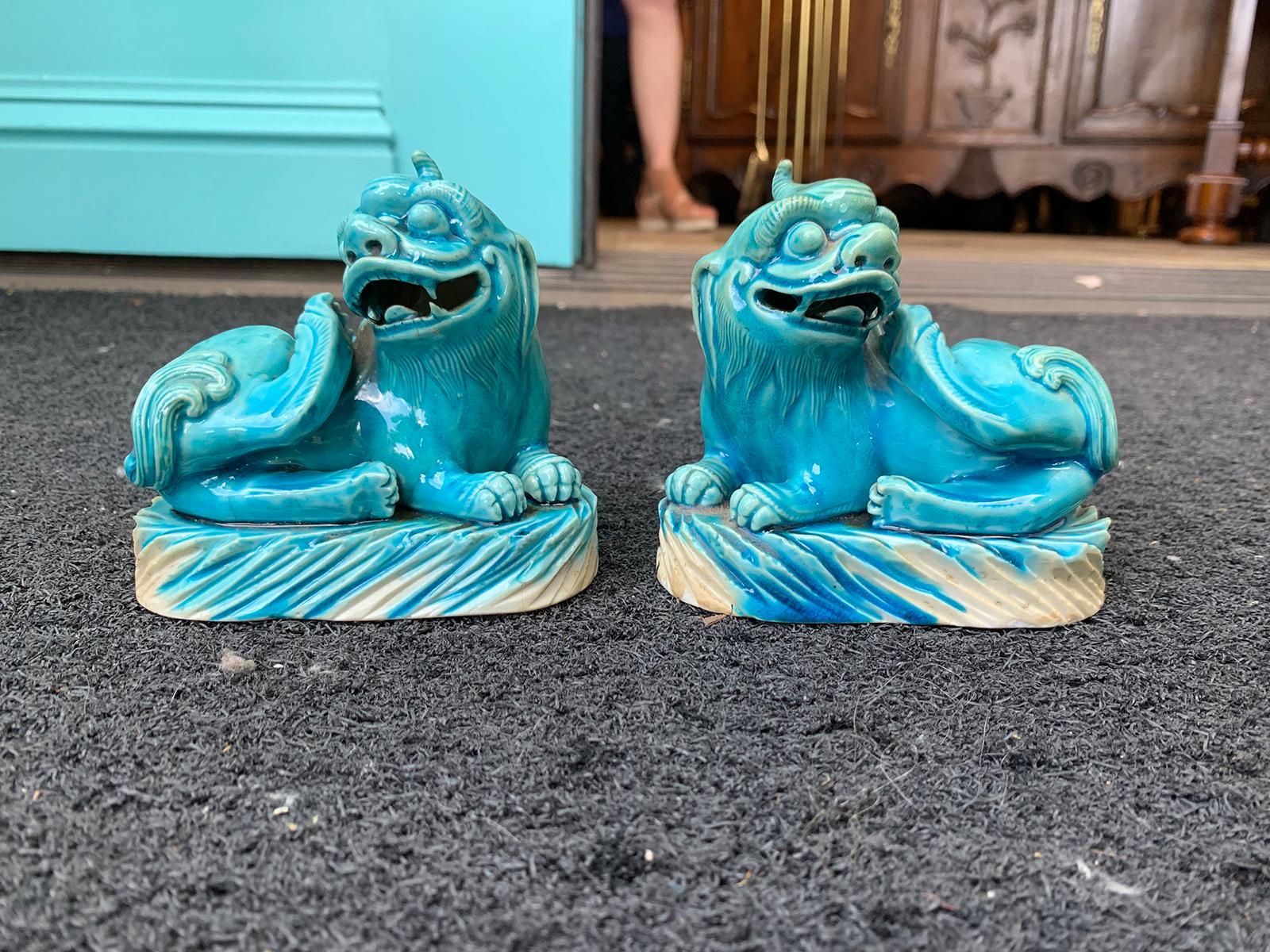 dogs for sale