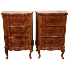Pair of 19th Century Walnut Dutch Bedside Storage Cabinets, circa 1880
