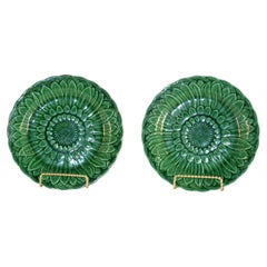 Pair of 19th Century Wedgwood Green Majolica Sunflower Plates