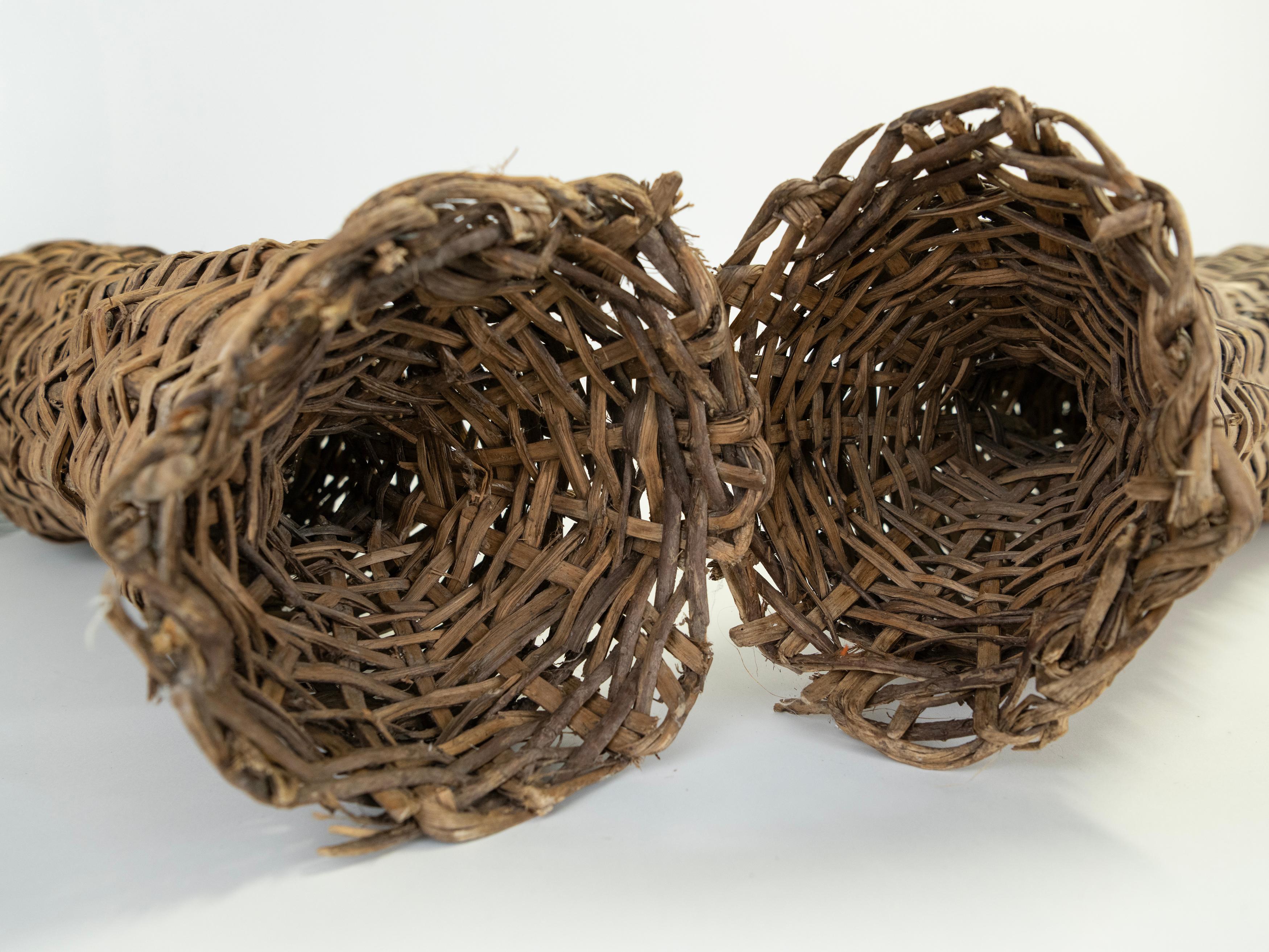 Paire de pièges à poissons en bois tressé du 19ème siècle provenant de France en vente 5