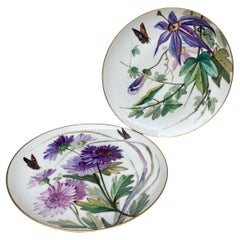 Coppia di piatti in porcellana francese del XIX secolo Fiori e Farfalle Limoges