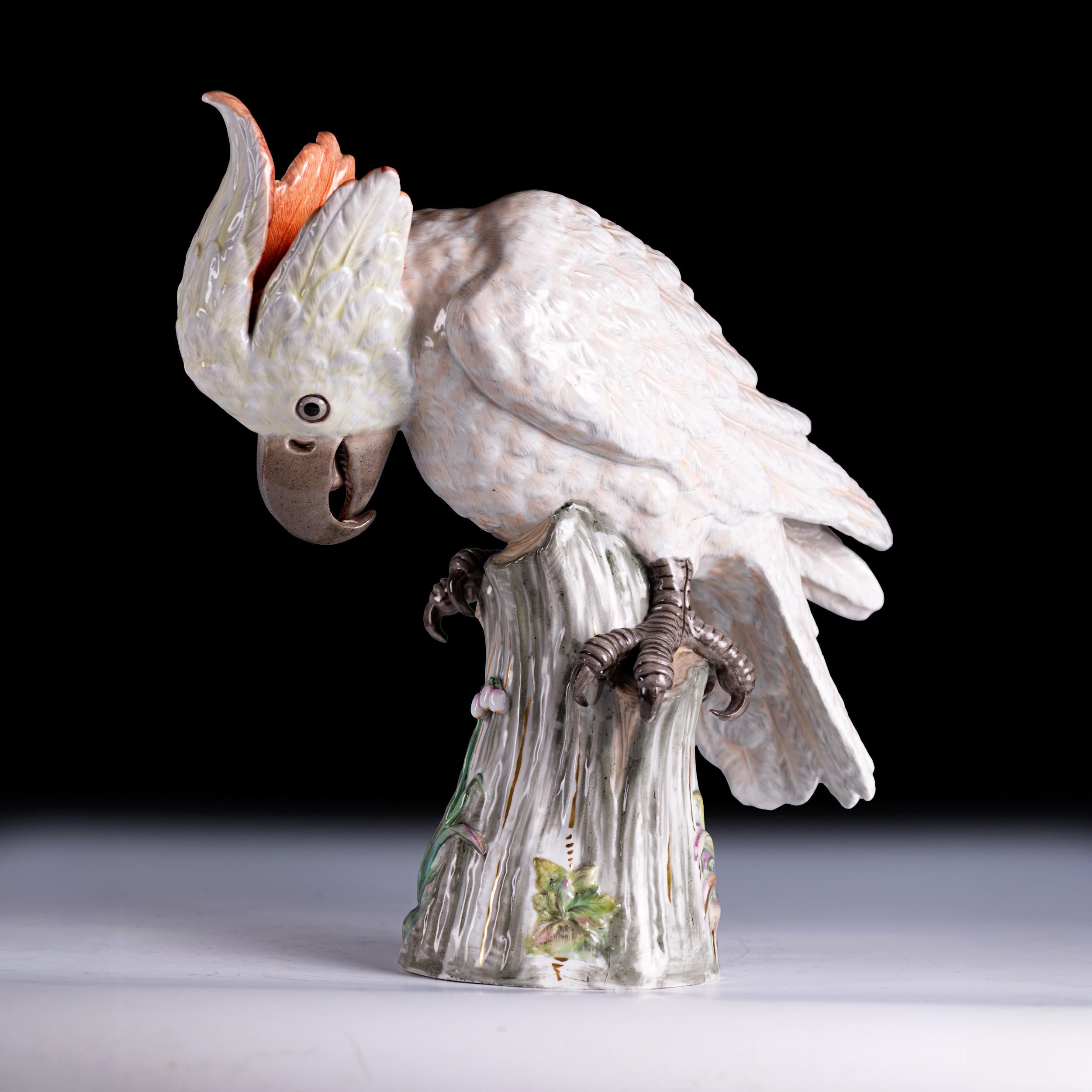 Baroque Pair Of 19th German Meissen Painted Porcelain Models Of Female Cockatoos For Sale