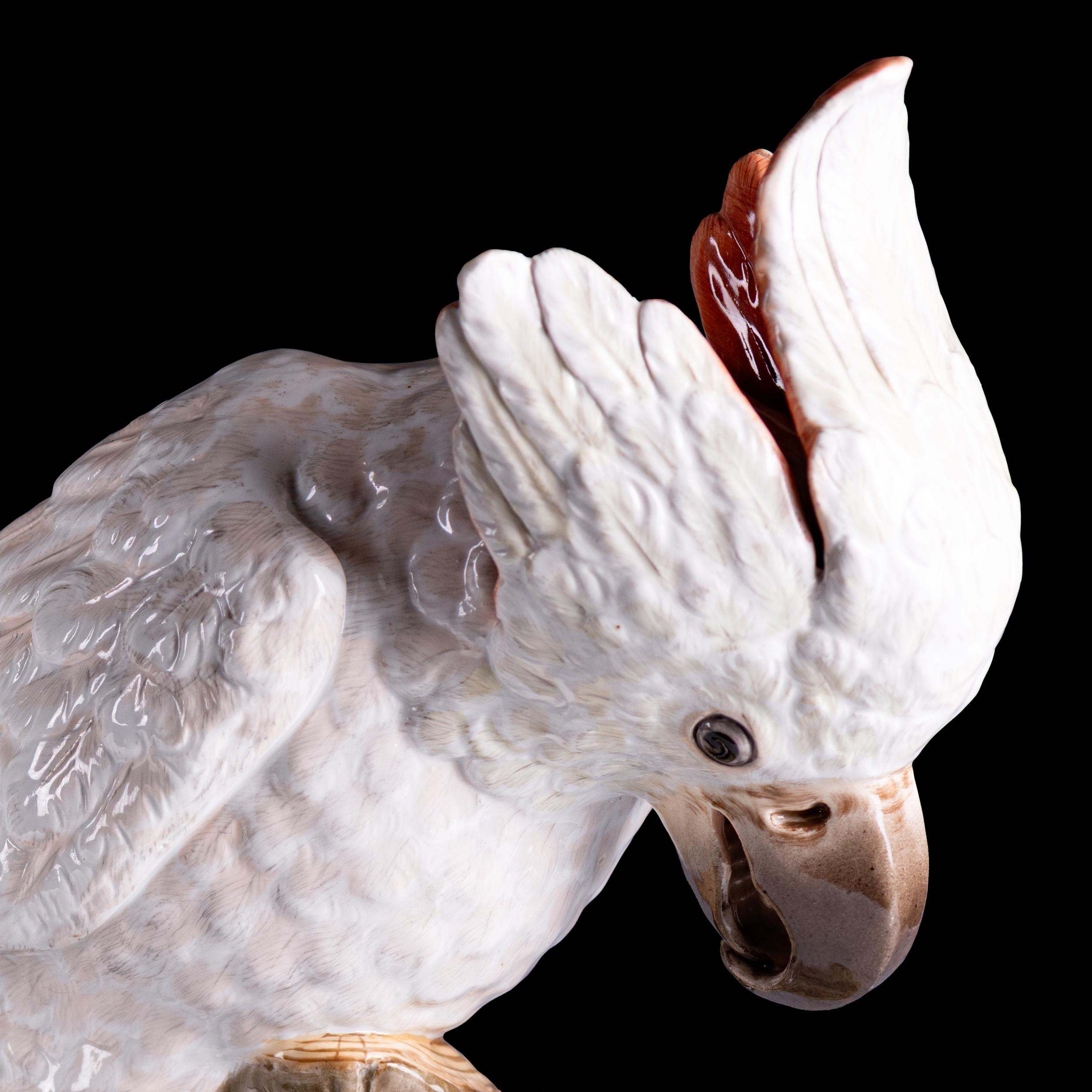 Pair Of 19th German Meissen Painted Porcelain Models Of Female Cockatoos In Excellent Condition For Sale In Dublin, IE