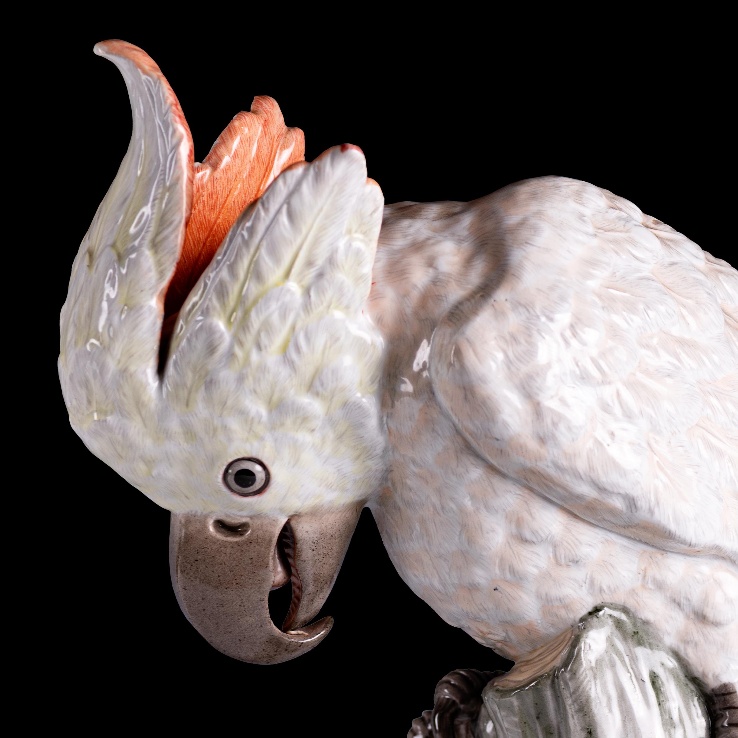 19th Century Pair Of 19th German Meissen Painted Porcelain Models Of Female Cockatoos For Sale