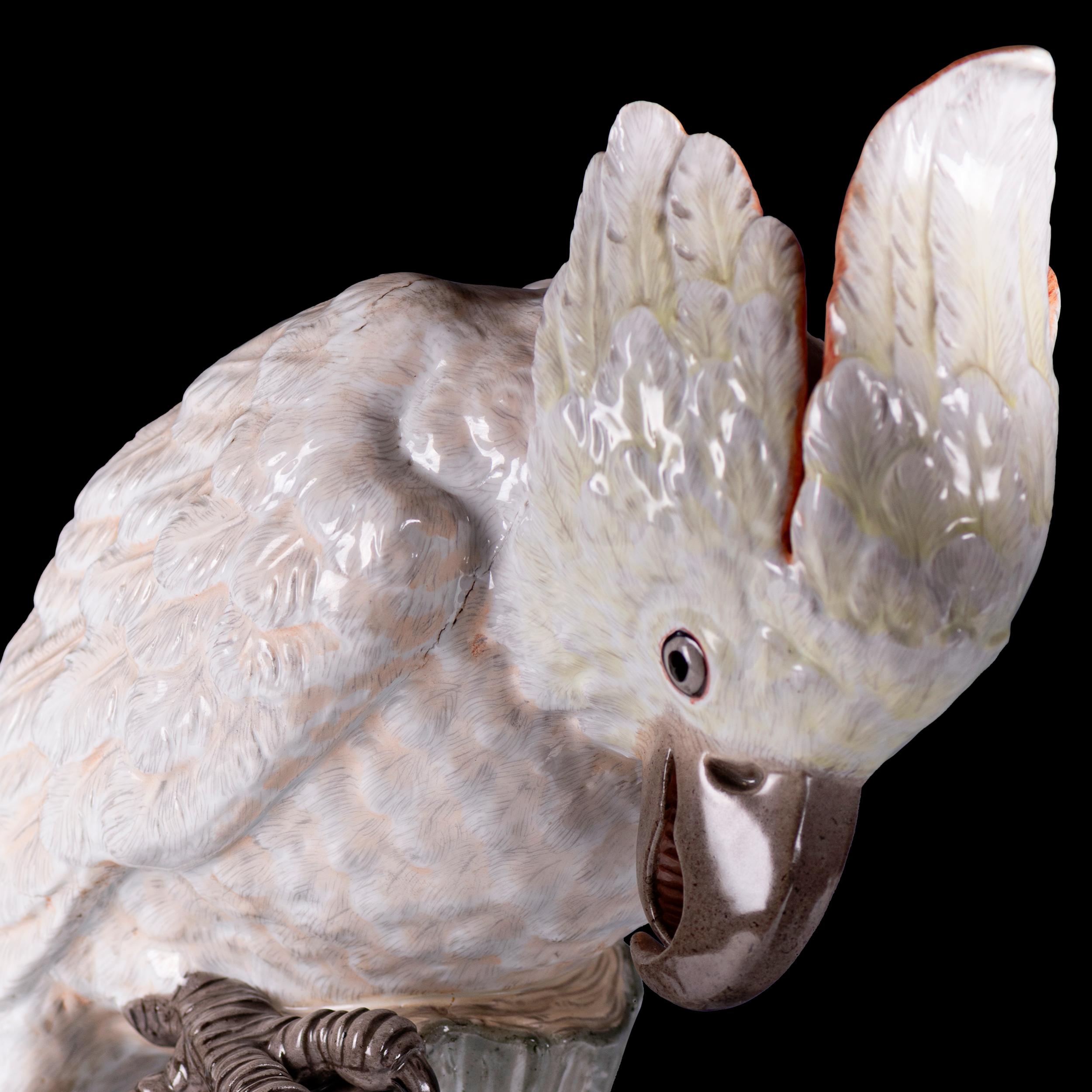 Pair Of 19th German Meissen Painted Porcelain Models Of Female Cockatoos For Sale 1