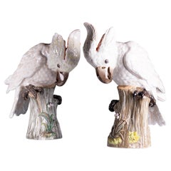 Paire de modèles de cockatoos féminins en porcelaine peinte de Meissen du 19e siècle