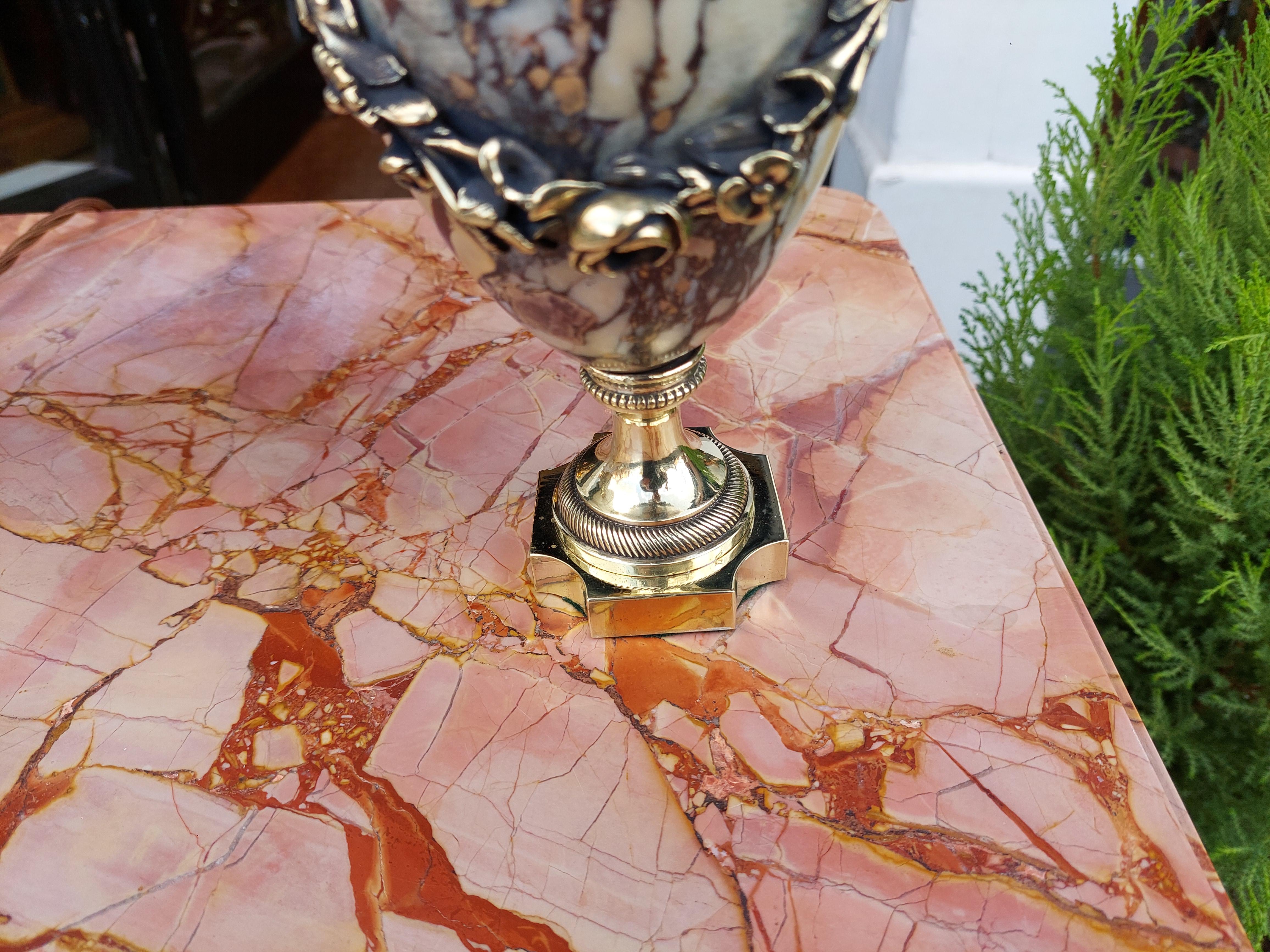 Français Paire d'urnes en marbre montées sur laiton doré du XIXe siècle en vente