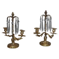 Pair of 19thC French Twin Branch Ormolu Lustres